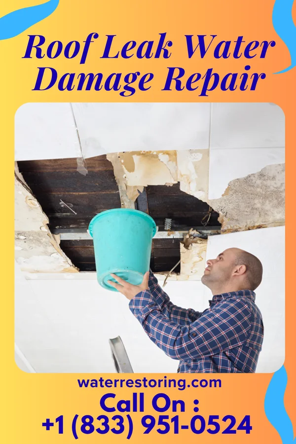 Roof Leak Water Damage Repair in Summer Set, MO